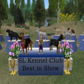 Trophies and ribbons to Best in Show at the SL Kennel Club Dog Show
